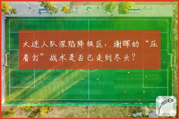 大连人队深陷降级区，谢晖的“压着打”战术是否已走到尽头？