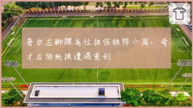 普尔左脚踝高位扭伤缺阵六周，奇才后场轮换遭遇重创