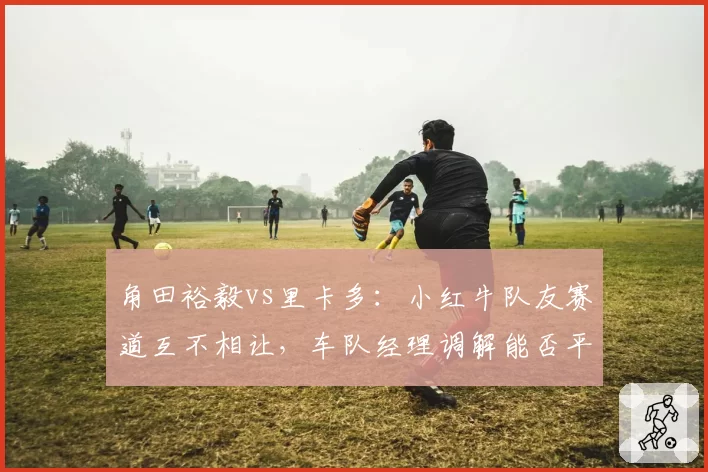 角田裕毅vs里卡多：小红牛队友赛道互不相让，车队经理调解能否平息内斗？