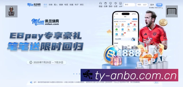 看点解析